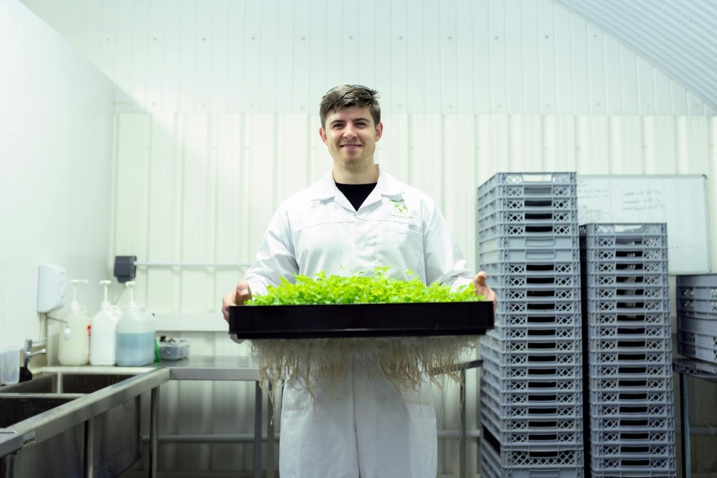 Scientist in a laboratory holding a tray of hydroponic plants, showcasing sustainable agriculture.