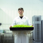 Scientist in a laboratory holding a tray of hydroponic plants, showcasing sustainable agriculture.